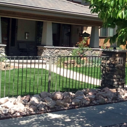 Artificial Grass Carpet Harper Woods, Michigan Roof Top, Front Yard Landscaping Ideas