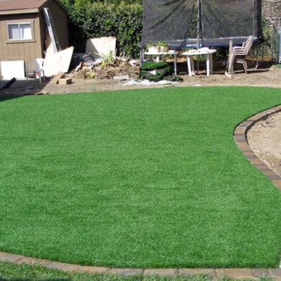 Artificial Grass Carpet Otisville, Michigan Home And Garden, Backyard Design