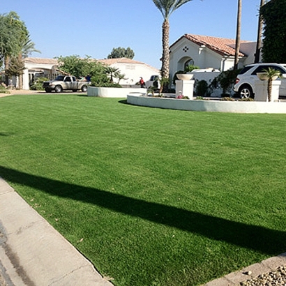 Artificial Grass Carpet Webberville, Michigan Design Ideas, Front Yard Landscaping Ideas