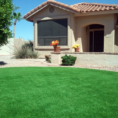 Artificial Grass Installation Pleasant Ridge, Michigan Gardeners, Front Yard