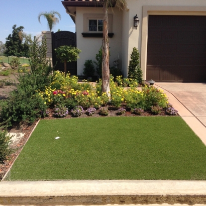 Artificial Grass Ithaca, Michigan Design Ideas, Front Yard