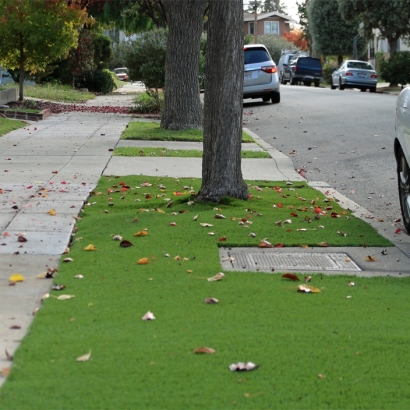 Artificial Grass Tecumseh, Michigan Roof Top, Front Yard Ideas