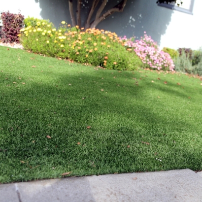 Artificial Grass Temperance, Michigan Design Ideas, Front Yard Landscaping