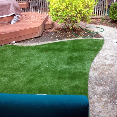 Artificial Lawn Imlay City, Michigan Landscape Ideas, Backyard Designs