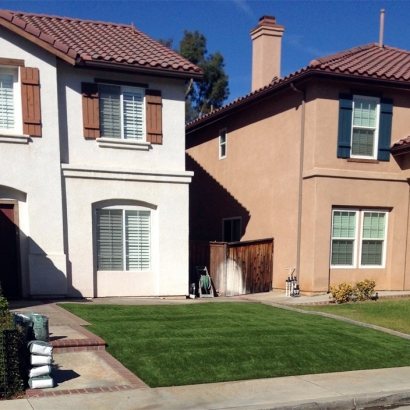 Artificial Lawn Morrice, Michigan City Landscape, Front Yard Design