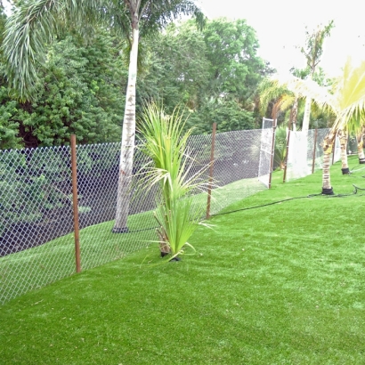 Artificial Lawn Robin Glen-Indiantown, Michigan Landscape Ideas, Backyards