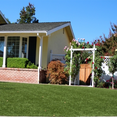 Artificial Turf Cost Rockford, Michigan Lawn And Garden, Front Yard Landscaping Ideas