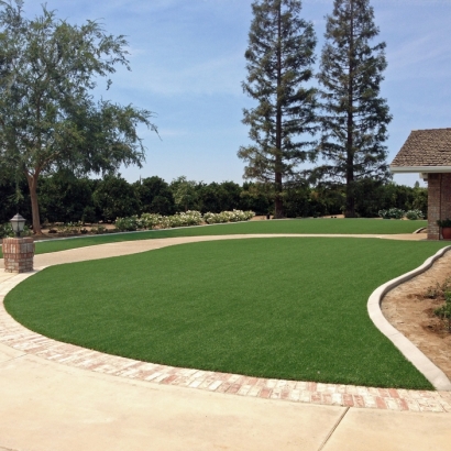 Artificial Turf Cost Sturgis, Michigan Design Ideas, Front Yard Landscape Ideas