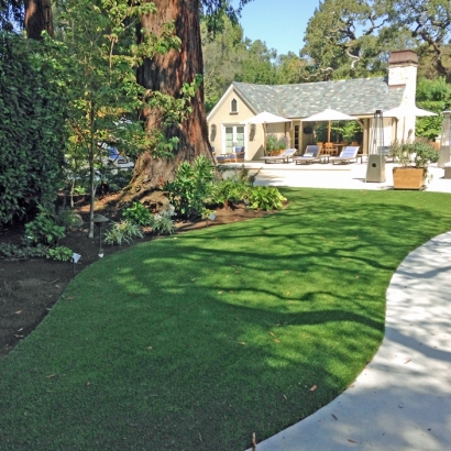 Artificial Turf Morrice, Michigan Backyard Playground, Commercial Landscape