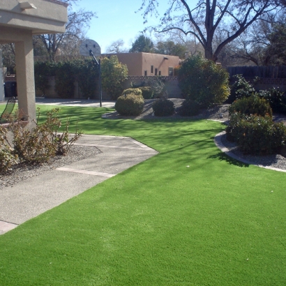 Best Artificial Grass Troy, Michigan Design Ideas, Landscaping Ideas For Front Yard