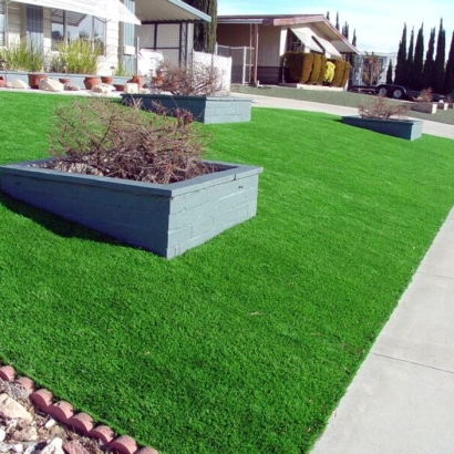 Fake Grass Carpet Holt, Michigan Landscape Design, Front Yard Landscaping