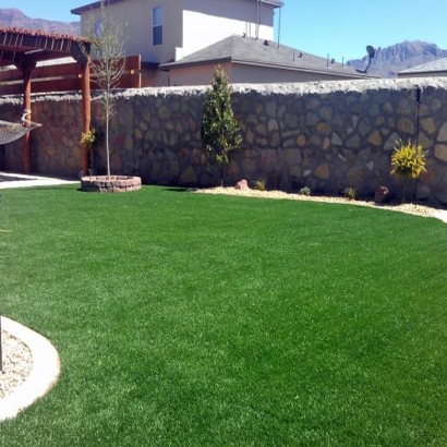 Fake Grass Carpet Muir, Michigan Garden Ideas, Backyard Landscaping