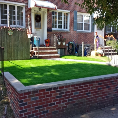 Fake Grass Carpet Saginaw, Michigan Design Ideas, Front Yard Landscape Ideas