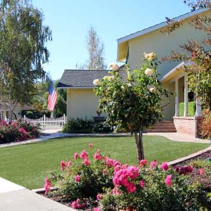 Fake Grass Sparta, Michigan Landscape Rock, Front Yard Ideas