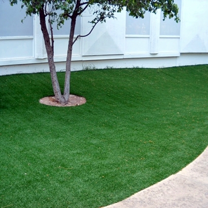 Fake Grass Warren, Michigan Lawn And Garden, Commercial Landscape