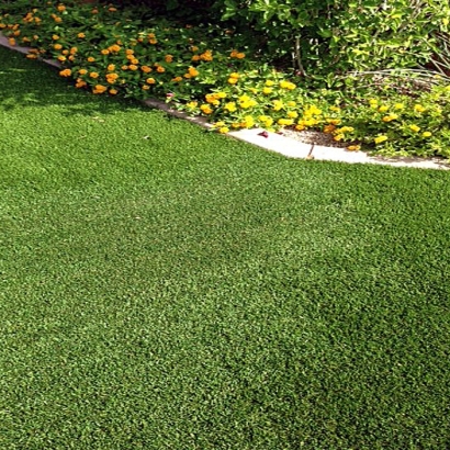 Fake Lawn Livonia, Michigan City Landscape, Front Yard Landscape Ideas