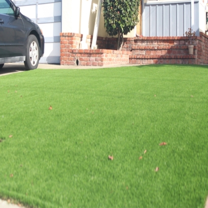 Fake Turf Brown City, Michigan City Landscape, Front Yard