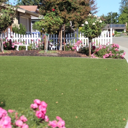 Fake Turf Cassopolis, Michigan Rooftop, Front Yard Design