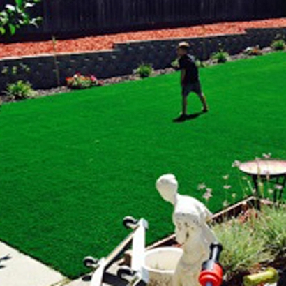 Fake Turf Climax, Michigan Garden Ideas, Beautiful Backyards