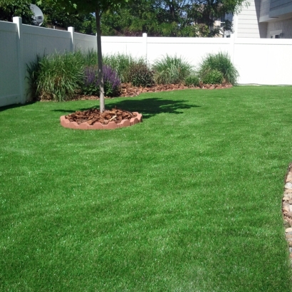 Fake Turf Garden City, Michigan Rooftop, Backyard Landscaping Ideas