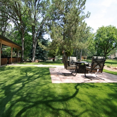 Fake Turf Novi, Michigan Landscape Design, Backyard Ideas