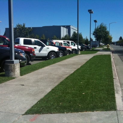 Fake Turf Plymouth, Michigan Design Ideas, Commercial Landscape