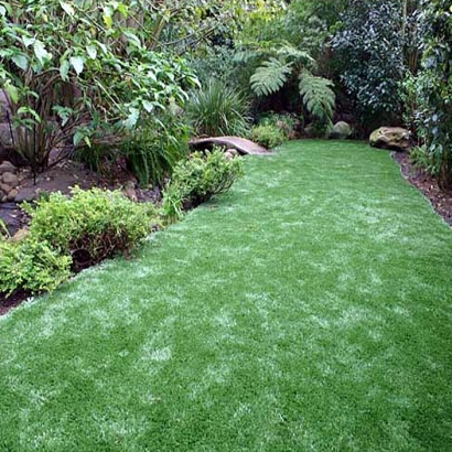 Fake Turf Westwood, Michigan Landscaping Business, Backyard