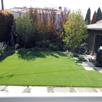 Grass Carpet Bronson, Michigan Landscaping Business, Small Backyard Ideas