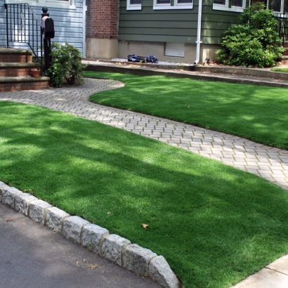 Grass Carpet Deckerville, Michigan Gardeners, Front Yard Design