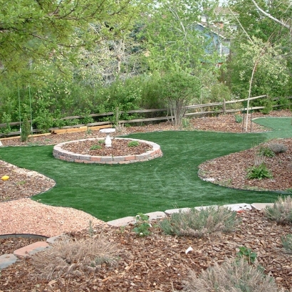 Grass Carpet New Haven, Michigan Landscaping, Backyard Designs