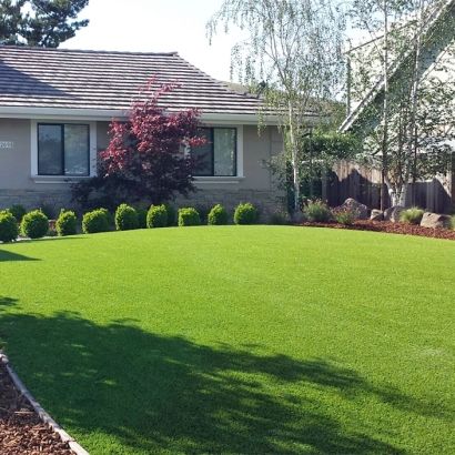 Grass Carpet North Branch, Michigan City Landscape, Front Yard Landscaping