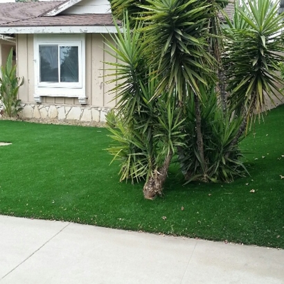 Grass Carpet Wyoming, Michigan Rooftop, Front Yard