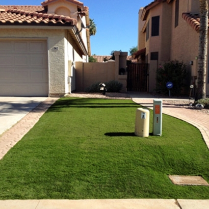 Grass Turf Haslett, Michigan Landscape Ideas, Front Yard