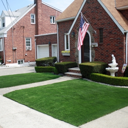 Grass Turf Parma, Michigan Landscape Ideas, Front Yard Ideas