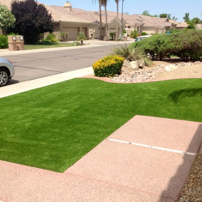 Grass Turf Prudenville, Michigan Backyard Playground, Front Yard Ideas