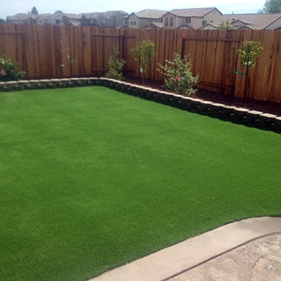 Grass Turf Woodhaven, Michigan Roof Top, Small Backyard Ideas