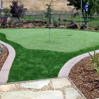 Green Lawn Colon, Michigan Indoor Putting Greens, Backyard Designs