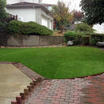 Installing Artificial Grass Detroit, Michigan Design Ideas, Small Backyard Ideas