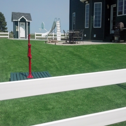 Installing Artificial Grass Portland, Michigan Roof Top, Front Yard