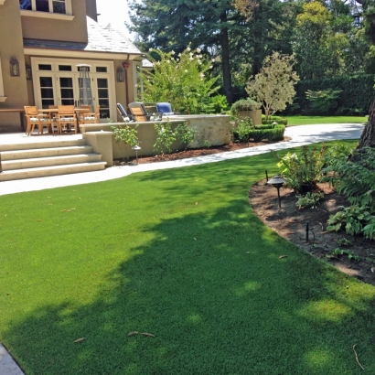 Outdoor Carpet Mayville, Michigan Lawn And Garden, Backyard