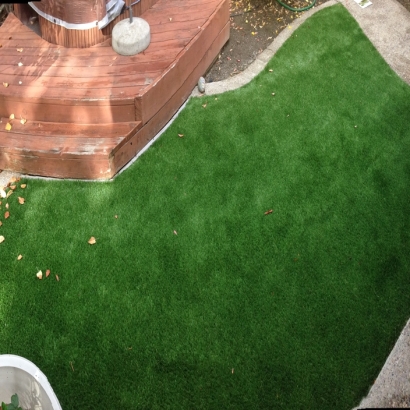 Outdoor Carpet Swartz Creek, Michigan Roof Top, Backyard Landscaping