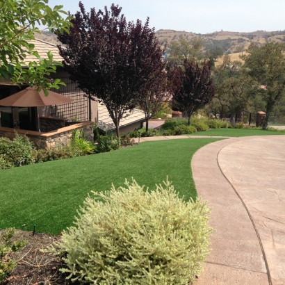 Outdoor Carpet Williamston, Michigan Lawn And Landscape, Small Front Yard Landscaping