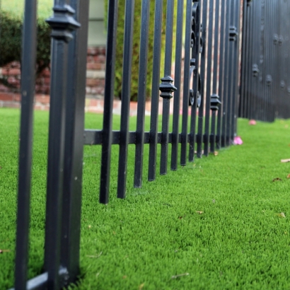 Plastic Grass Burt, Michigan City Landscape, Front Yard Landscaping