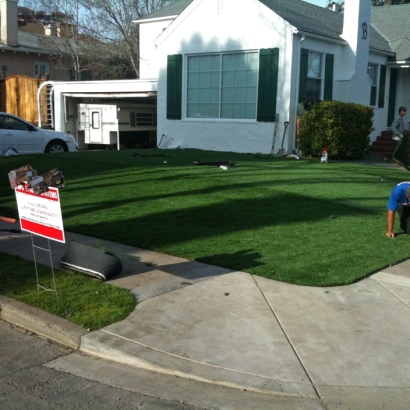 Plastic Grass Grosse Pointe Park, Michigan Lawn And Garden, Front Yard Landscape Ideas