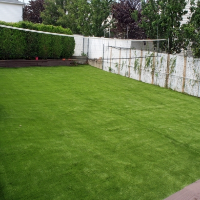 Plastic Grass Oakley, Michigan Gardeners, Backyard Designs