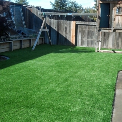 Plastic Grass Whittemore, Michigan Landscaping, Backyard Landscape Ideas