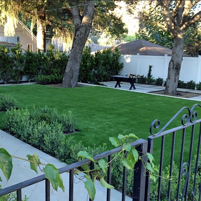 Synthetic Grass Beecher, Michigan Landscaping, Front Yard Landscaping Ideas