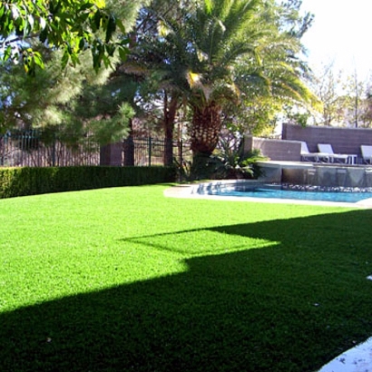 Synthetic Grass Carleton, Michigan Roof Top, Backyard