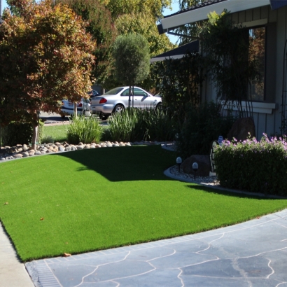 Synthetic Grass Cost Bloomingdale, Michigan Design Ideas, Front Yard Design