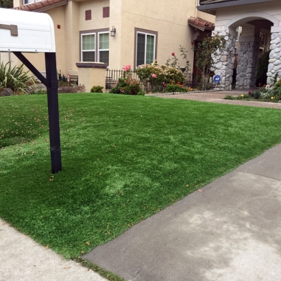 Synthetic Grass Cost Clinton, Michigan Paver Patio, Front Yard